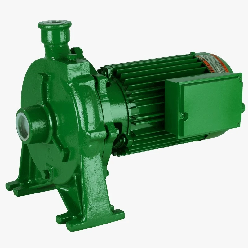 Bomba Centrífuga Czerweny Zeta 5M 2.5 HP